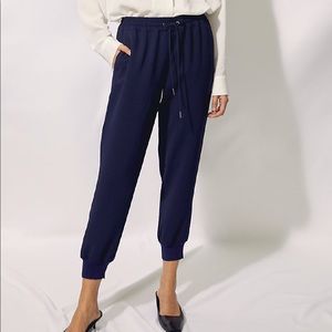 Wilfred Grey Aritzia pants